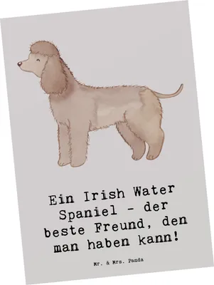 Produktbild von Mr. & Mrs. Panda Postkarte Irish Water Spaniel Freund - Grau Pastell - Geschenk, Ansichtskarten, Hunderasse, verspielte Natur, treuer Begleiter, Familie, Fotokarte, Hunde