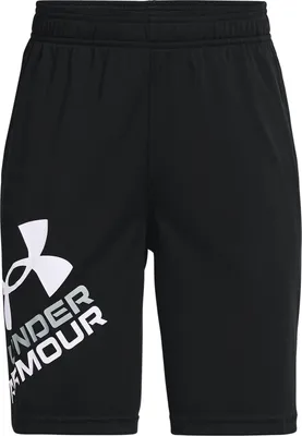 Obrázek produktu pro Kraťasy UA Prototype 2.0 Logo Shorts-BLK