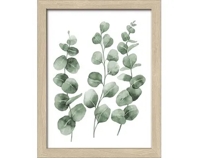 Produktbild von Gerahmtes Bild Eucalyptus Branches I 19x24 cm