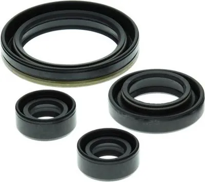 Obrázek produktu pro Sada motorových těsnění WINDEROSA W822150