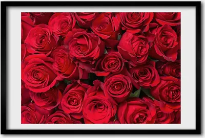 Produktbild von Bild 60x40 MDF-Rahmen, Wandkunst rote Rosen