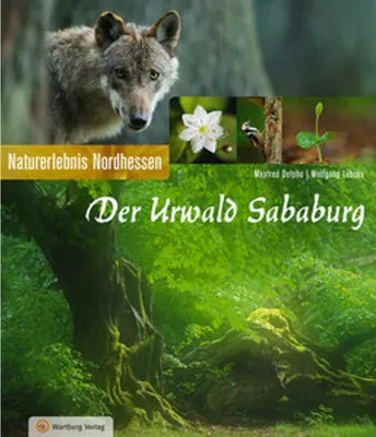 Image de Der Urwald Sababurg