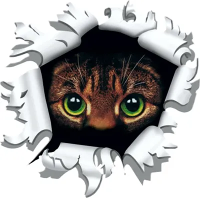 Produktbild von Aufkleber Einschussloch 170 mm Motiv Katze