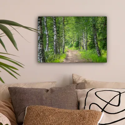 Produktbild von MuchoWow® - Leinwandbilder - Wald - Bäume - Birke, Wandbild, Wanddeko Bilder Wohnzimmer, 30x20 cm