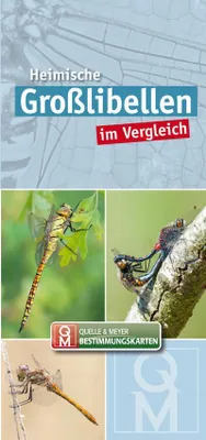 Image de Heimische Großlibellen im Vergleich