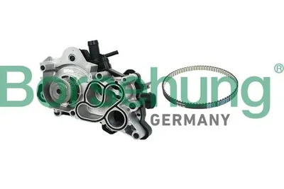 Produktbild von Borsehung Kühlmittelpumpe Wasserpumpe für VW Golf VII Schrägheck (5G1, BQ1, BE1, BE2) B11207