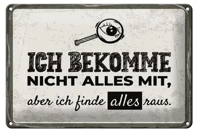 Produktbild von Blechschild Spruch 12x18 cm ich bekomme alles raus Schild