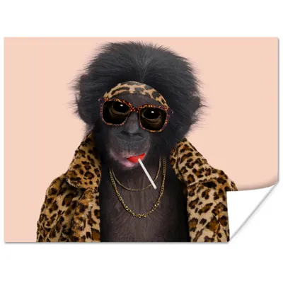 Produktbild von MuchoWow® Poster Affe - Tiere - Sonnenbrille - Pantherdruck - Lutscher 160x120 cm - Foto Plakat