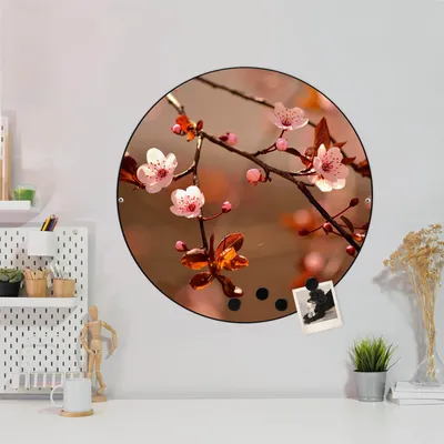 Produktbild von Design Stahlmagnettafel Schwarz Rund 47cm Blühender Kirschzweig