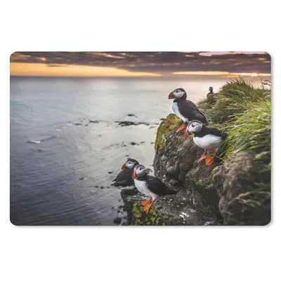 Produktbild von MuchoWow® Schreibtischunterlage Papageientaucher bei Sonnenuntergang 60x40 cm - XXL Mauspad - Großes Mauspad