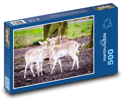 Zdjęcie produktu dla martinpuzzle - Puzzle 500 elementów - Daněk