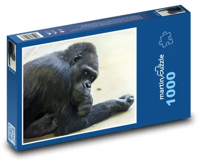 Obrázok produktu pre Puzzle 1000 Premýšľajúca gorila - martinpuzzle