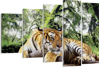 Produktbild von Bild auf Leinwand - Leinwandbild - 5 Teile - Tiger Dschungel Ruhe - 150x100cm - Wand Bild - Wanddeko - Wandbilder - Leinwanddruck - Bilder - Wanddekoration - Leinwand bilder - EG150x100-4166