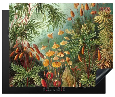 Imagen del producto de Alfombrilla de inducción de 65x52 cm para proteger la cocina
