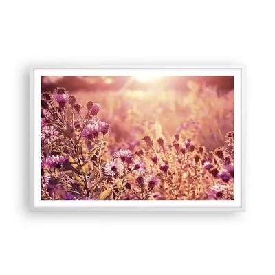 Produktbild von Gerahmtes Poster - Weißer Rahmen - Wiese Blumen Sonne - 91,5x61 cm - Wand Bild - Wanddeko - Wandbilder - Kunstposter - Wandposter - Bilderrahmen - Bilder - Kunstdruck Wanddekoration - P2WAA91x61-4819