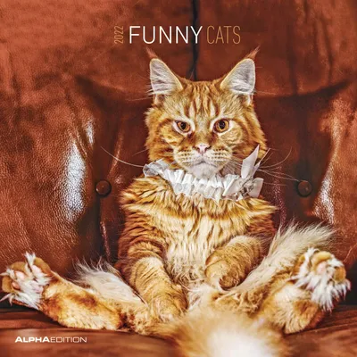 Produktbild von Funny Cats 2022 - Broschürenkalender 30x30 cm