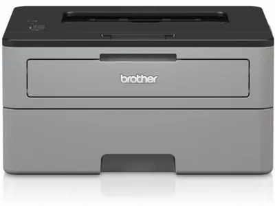 Immagine prodotto di Brother HL-L2310D     sw-Laser