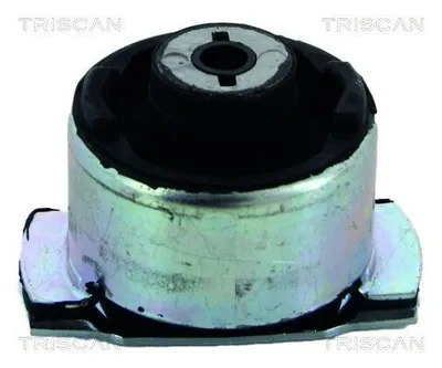 Produktbild von TRISCAN 8500 25821 Achslager für RENAULT LAGUNA II Grandtour (KG0/1)