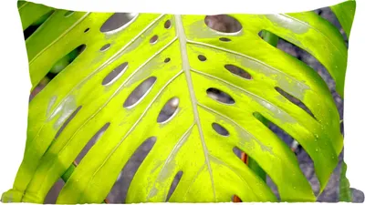 Produktbild von MuchoWow® Zierkissen Sofakissen Wohnzimmer Dekokissen 50x30 cm Großes botanisches Blatt der Lochpflanze - Wohnzimmerdekoration - Polster mit Photo