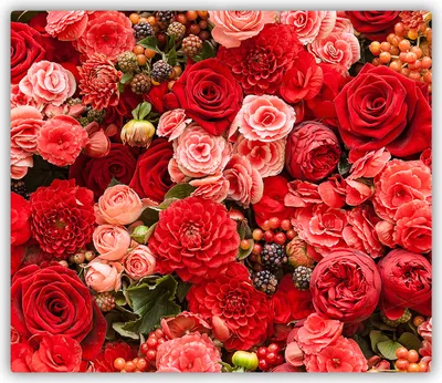 Produktbild von Tulup Glas Herdabdeckplatte Glaskeramikkochfeld-Abdeckung Spritzschutz Glasabdeckplatte Kochplattenabdeckung und Schneidebrett - Einteilig - 60x52 cm Rote Blumen