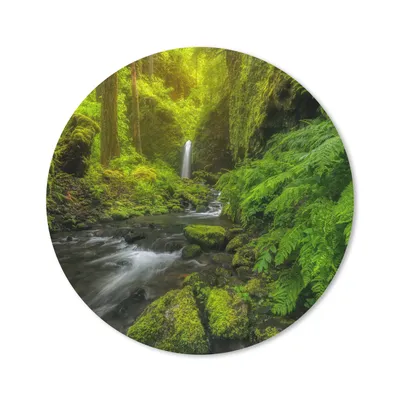 Produktbild von MuchoWow® Mauspad Mousepad Schönes Bild vom Dschungel 40x40 cm - Mousepads - Maus Mat - Pad - Mausunterlage - Schreibtisch Accessoires