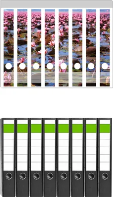 Produktbild von Wallario 8 Stück schmale Ordner inkl. Klebeetiketten mit Motive Seerosenlandschaft mit rosa Blüten -  Set mit Rückenschildern / Ordnerrücken Stickern
