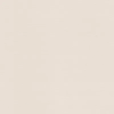 Produktbild von Rasch Vliestapete Tropical House 687507 Uni Einfarbig Tapete 10.05 x 0.53 m Grau Wohnen Schlafen Küche Flur Eingangsbere