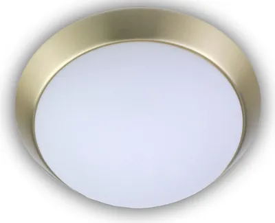 Produktbild von LED Flurlampe LED Dielenleuchte Deckenschale Ø25cm Opalglas Zierring MESSING