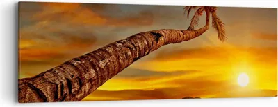Produktbild von Bild auf Leinwand - Leinwandbild - Palme Landschaft Sonne - 90x30cm - Wand Bild - Wanddeko - Leinwanddruck - Bilder - Kunstdruck - Wanddekoration - Leinwand bilder - Wandkunst - AB90x30-0162