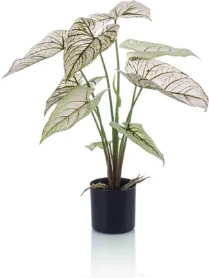 Produktbild von artplants.de Künstliche Caladium Yawar mit Wurzeln, grün-weiß, 60cm - Kunststoff Pflanze