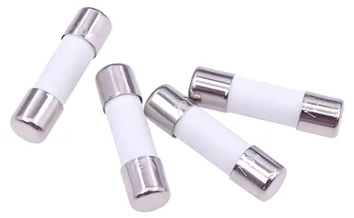 Keramik-Schnellsicherungen 5x20 mm 0,25 A 250 V (10 Stück)
