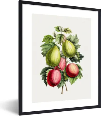 Produktbild von MuchoWow® Gerahmtes Poster Obst - Feigen - Lebensmittel 30x40 cm - Poster mit Schwarzem Bilderrahmen Wandposter Rahmen Foto Bilder - Wanddeko - Kunstdrucke