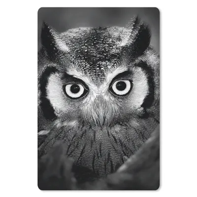 Produktbild von MuchoWow® Mauspad Mousepad Vogel - Eule - Porträt - Schwarz - Weiß 40x60 cm - Mousepads - Maus Mat - Pad - Mausunterlage - Schreibtisch Accesoire