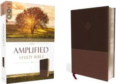 Immagine prodotto di The Amplified Study Bible, Leathersoft, Brown