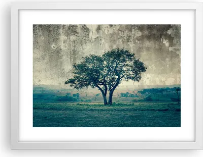 Produktbild von Gerahmtes Poster - Weißer Rahmen - Baum Natur Feld - 40x30 cm - Wand Bild - Wanddeko - Wandbilder - Kunstposter - Wandposter - Bilderrahmen - Bilder - Kunstdruck - Wandbild - P2WAA40x30-3627