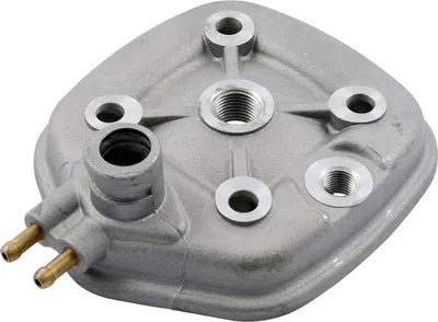 Produktbild von Zylinderkopf NARAKU für Minarelli liegend LC 40mm HQ NK101.76
