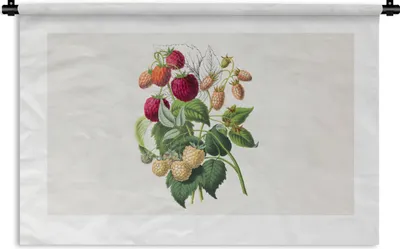 Produktbild von MuchoWow® Wandteppich Wandbehang Erdbeere - Obst - Vintage 150x100 cm Tapisserie Dekoration Wandtuch - Waschbar - Tapisserien - Wand-Decke