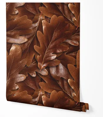Produktbild von Selbstklebende Tapete Möbelfolie Braune Blätter Herbst Natur Optik Eiche Laub Tapete Warmes Design Modern für Wohnzimmer Schlafzimmer Flur Gemütliche 2,5m x 0,5m