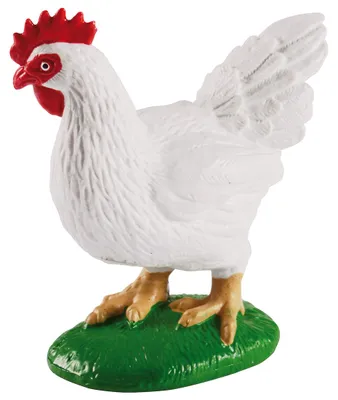 Produktbild von EDUPLAY 120765 Lebenszyklen Huhn