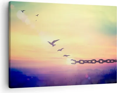 Produktbild von Bild auf Leinwand - Leinwandbild - Vogel Natur Wiese - 70x50cm - Wand Bild - Wanddeko - Wandbilder - Leinwanddruck - Bilder - Kunstdruck - Wanddekoration - Leinwand bilder - Wandkunst - AA70x50-3917