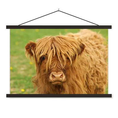 Produktbild von MuchoWow® Textilposter Schottischer Highlander - Braun - Gras 60x40 cm mit schwarzem Rahmen - Hölzernes