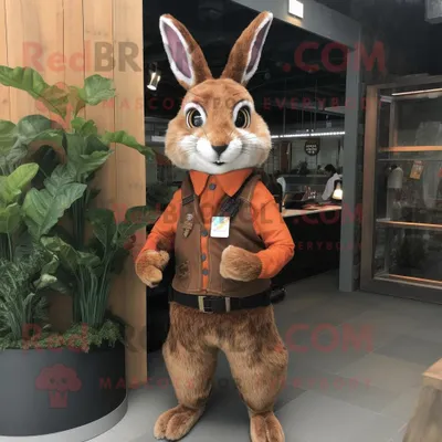 Obrázek produktu pro Postava REDBROKOLY maskota Rust Wild Rabbit oblečená s vestou a Cummerbunds