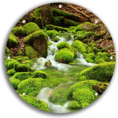 Produktbild von Wallario rundes Outdoor-Poster für Garten oder Balkon, Motiv Moosiger Bach, 30 cm Durchmesser