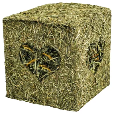 Obrázek produktu pro JR Farm Heu Würfel klein mit Mehlwürmern 125g