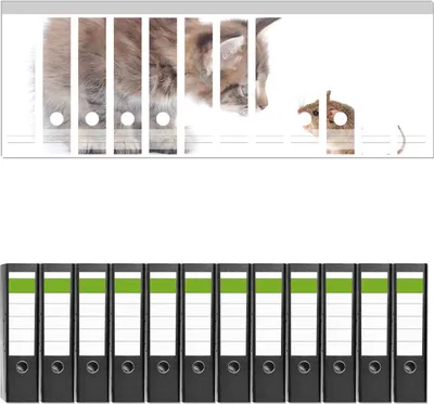 Produktbild von Wallario 12 Stück breite Ordner inkl. Klebeetiketten mit Motive Katze und Maus beim Spielen - weißer Hintergrund -  Set mit Rückenschildern / Ordnerrücken Stickern