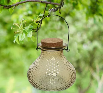Produktbild von Wespenfalle Glas Gelb zum Aufhängen Landhaus Insektenfalle Vintage-Stil 13cm