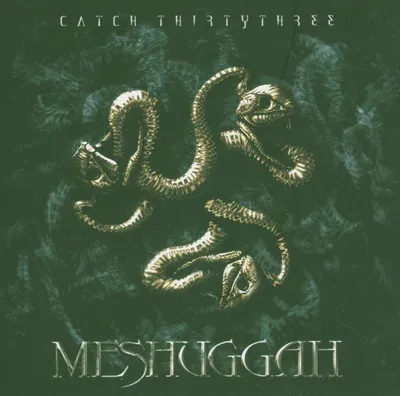 Obrázek produktu pro Meshuggah: Catch Thirtythree