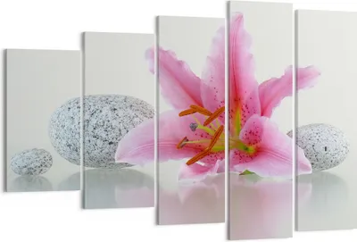 Produktbild von Bild auf Leinwand - Leinwandbild - Lilienblüte grün Pflanze - 150x100cm - Wand Bild - Wanddeko - Leinwanddruck - Bilder - Kunstdruck - Wanddekoration - Leinwand bilder - Wandkunst - EG150x100-0485