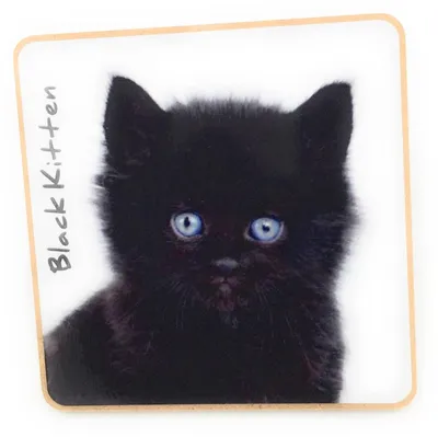 Katzen-Untersetzer aus Kork, 9,5 x 9,5 cm, schwarzes Kätzchen