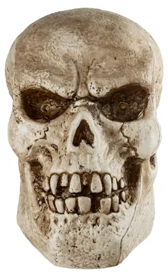 Produktbild von Riesiger Totenkopf mit Licht & Sound 52cm für Halloween